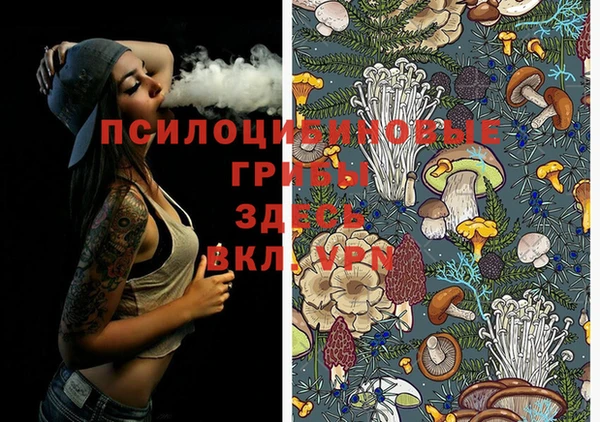 Альфа ПВП Нефтекумск