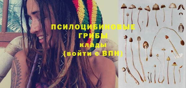 дживик Абаза
